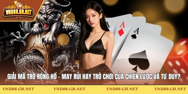 Giải Mã Trò Rồng Hổ - May Rủi Hay Trò Chơi Của Chiến Lược Và Tư Duy?